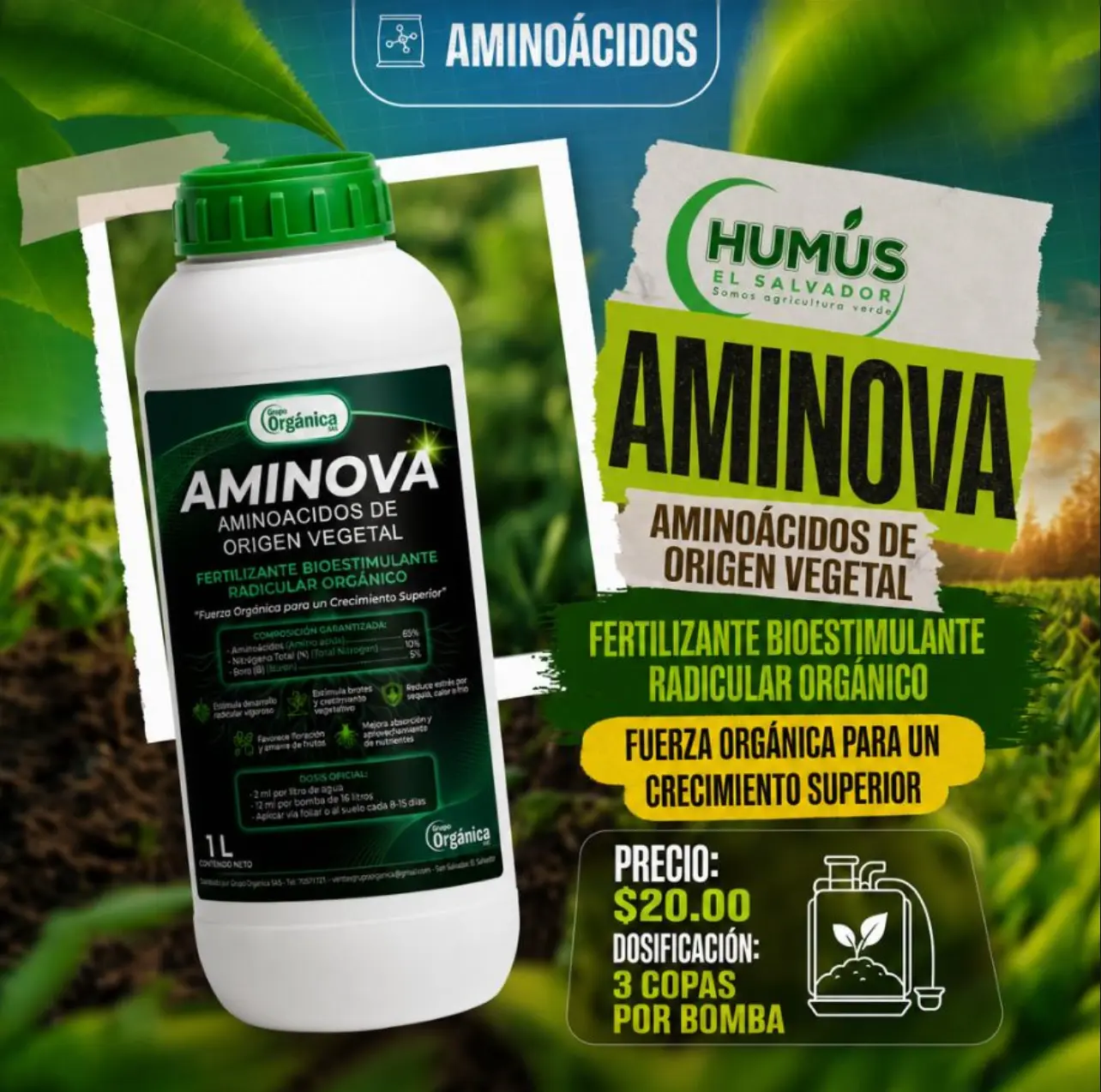 Aminova