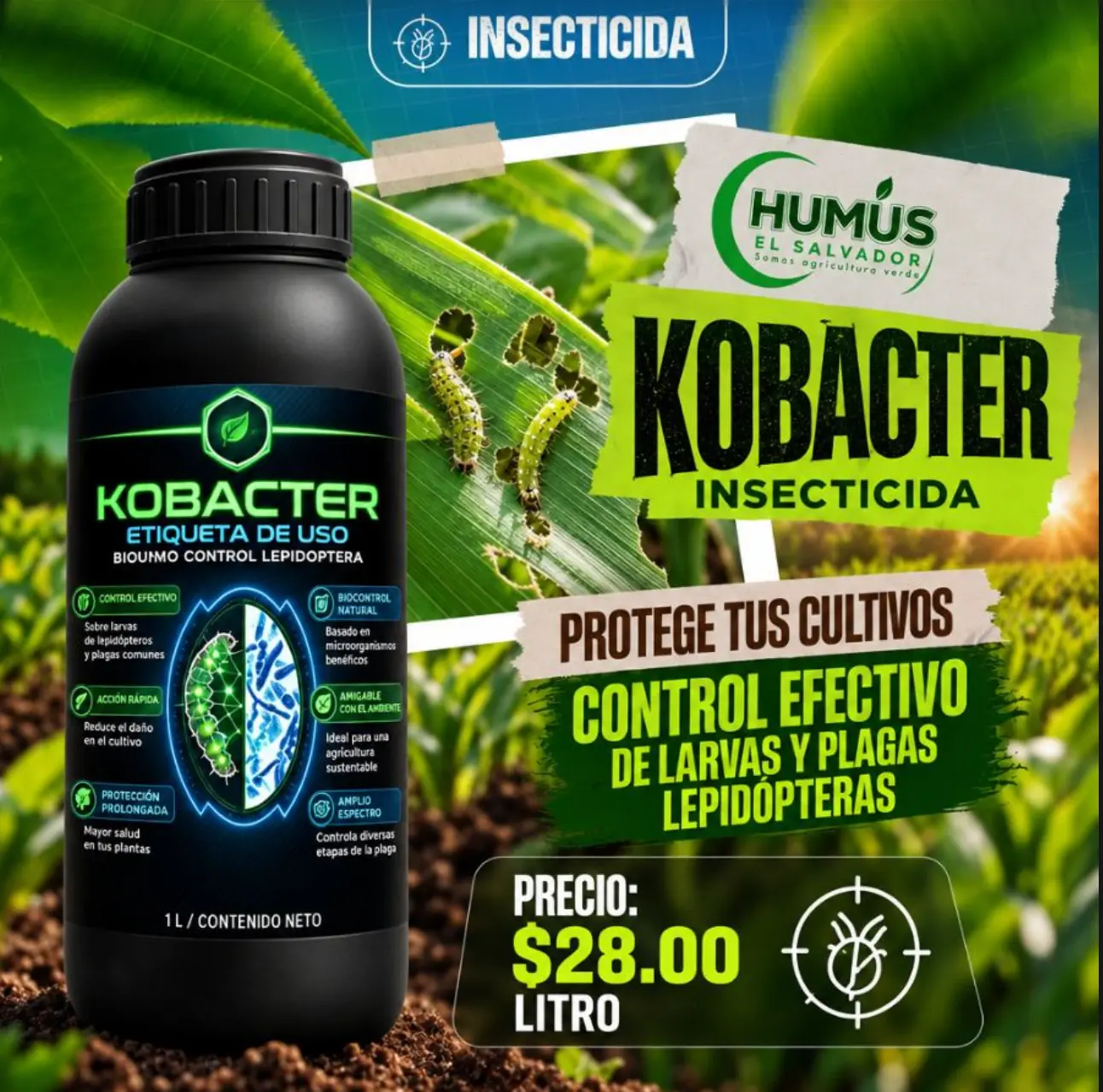 KobacTer Insecticida