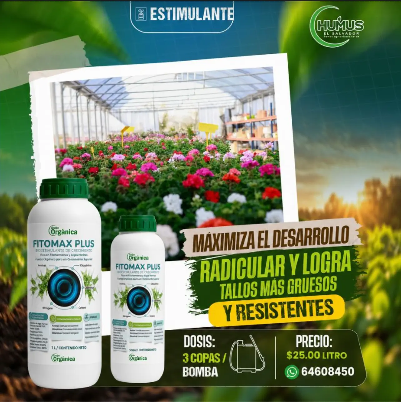 Fitomax Plus