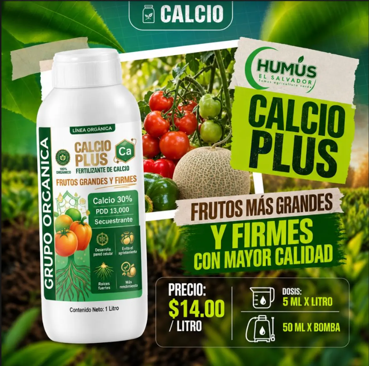 Calcio Plus