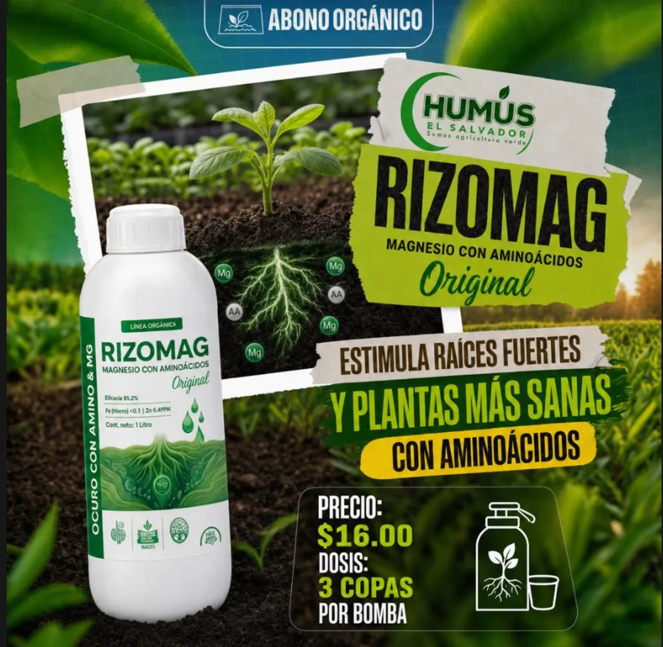 Rizomag