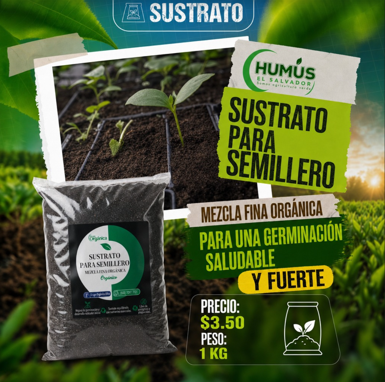 Sustrato para Semillero